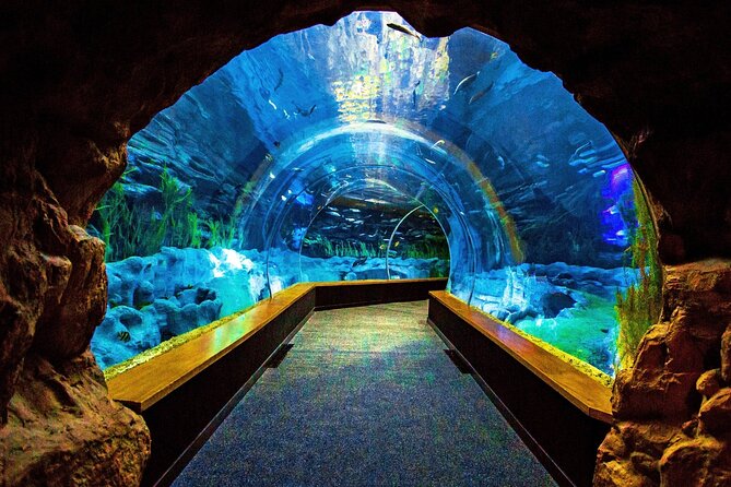 Sea and Mountain Full Day Tour With Lunch - Tour Overview and Details