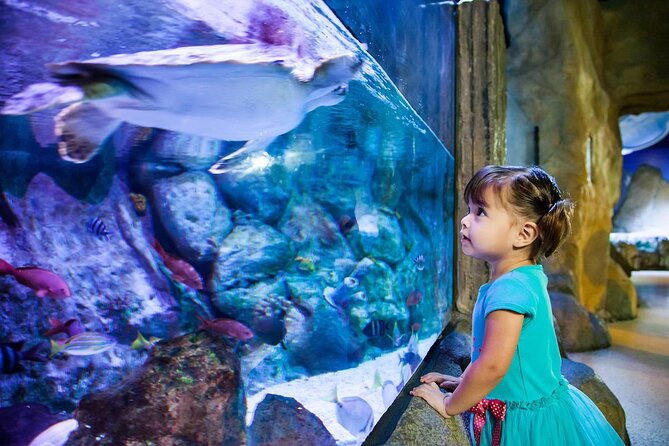 SEA LIFE Aquarium Grapevine Admission Ticket - Good To Know
