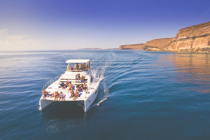 Sea of Cortez Snorkeling & Sea Lion Catamaran Adventure in La Paz - Key Points