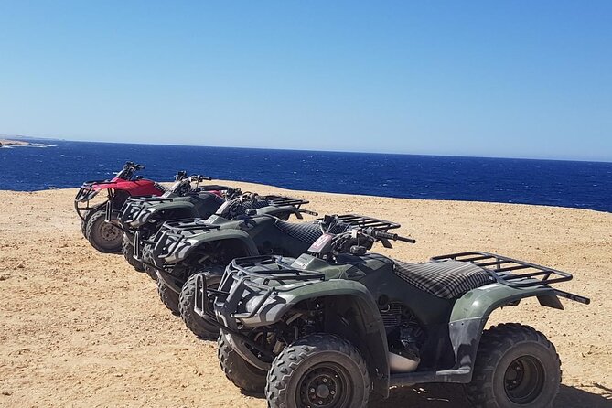 Sea Side Quad Adventure in Makadi Bay - Key Points