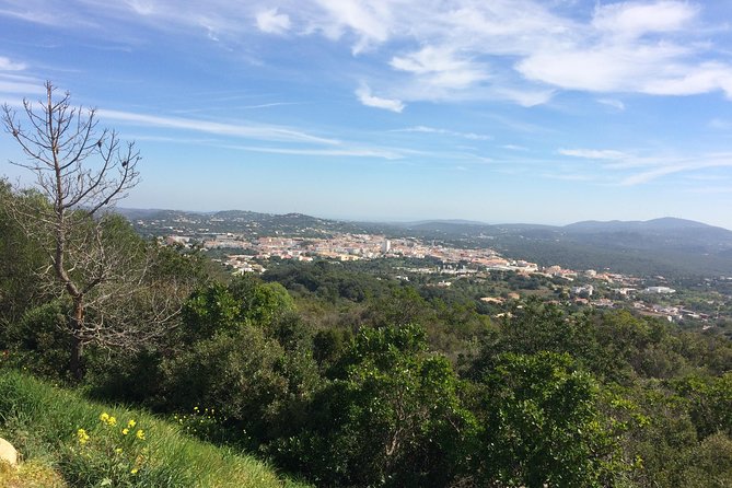 Secrets of Cork - Key Points