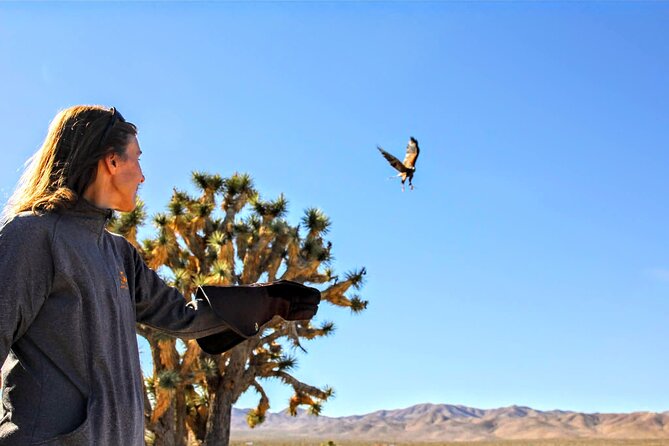 Self Drive Raptor Experience (1 Hour) in Joshua Tree Forest - Good To Know