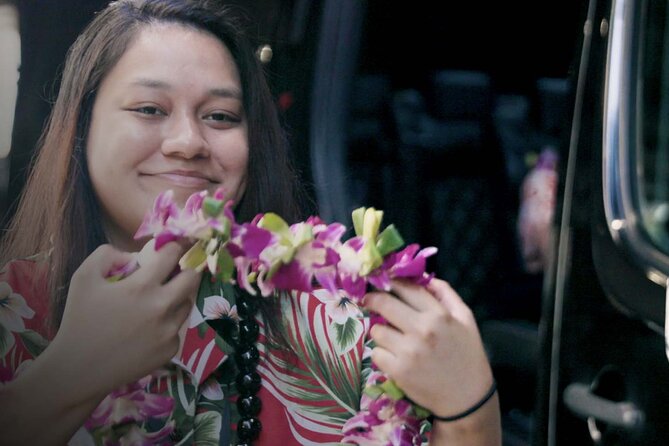 Shared Arrival Transfer: Honolulu Airport to Hotel or Cruise Terminal - Service Overview