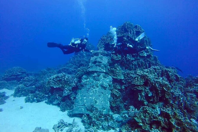 Shared Scuba Diving Experience on Easter Island One Dive Only - Good To Know