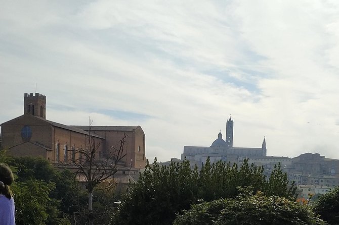 Shore Excursion From Livorno to Siena and San Gimignano by Private Minivan - Tour Details