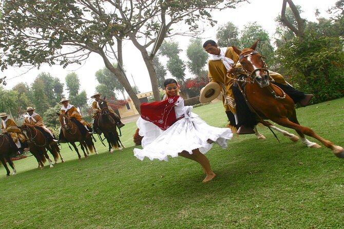 Show of Peruvian Paso Horse & Marinera With Lunch - Good To Know