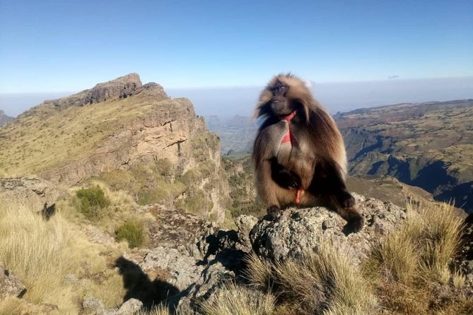Simien Mountains Trekking Adventure - Good To Know