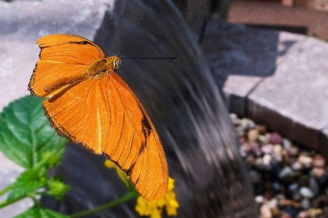 Skip the Line: General Admission to River Bend Nature Center Ticket - Good To Know