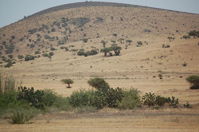 Small Desert in 4x4 - Good To Know