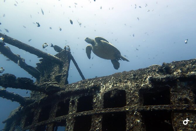 Small-Group Deep Dive in Oahu With Shipwreck and Reef - Dive Site Details