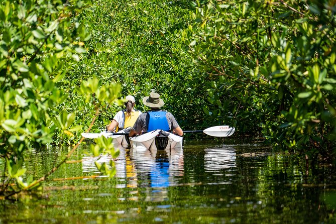 Small Group Glass Bottom Kayak Adventure- Cayman Islands - Good To Know