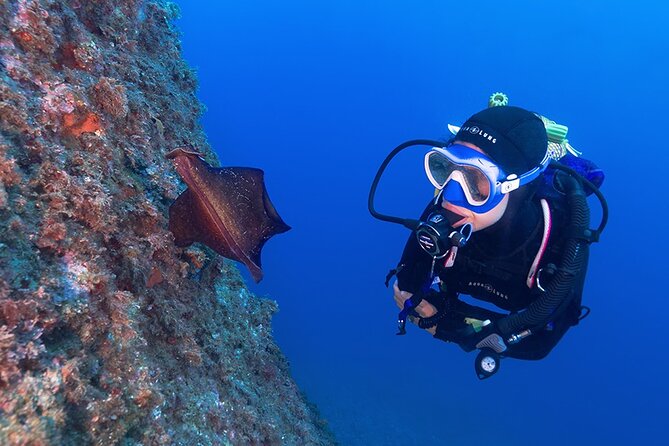 Small-Group Scuba Diving Adventure in Costa Brava - Good To Know