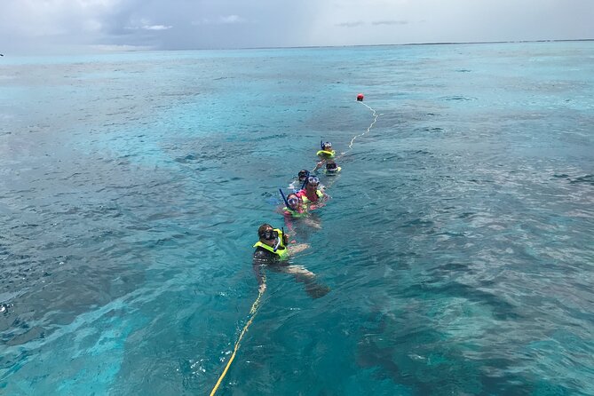 Snorkel Tours to Key Largo Reef for up to 6 People-Includes Gear! - Good To Know