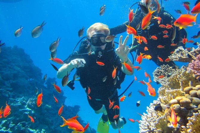 Snorkeling at Ras Mohamed in Sharm El Sheikh - Tour Overview