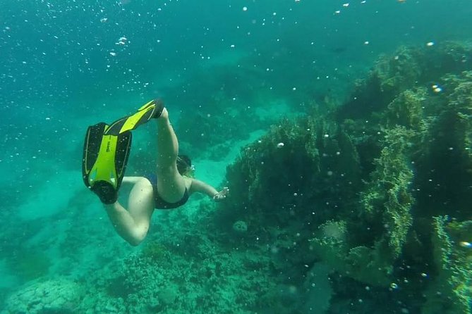 Snorkeling for a Clean Sea Experience - Good To Know