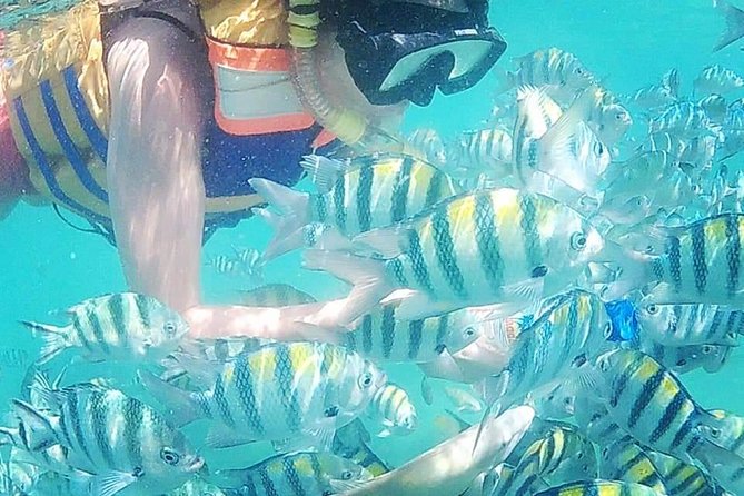 Snorkeling Tour In Gili Nanggu - Good To Know