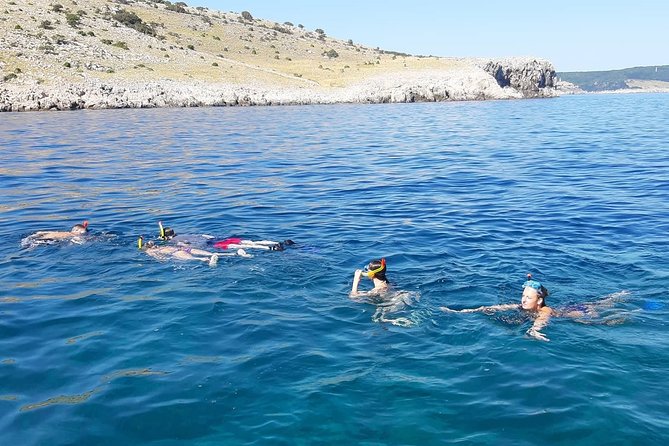 Snorkeling Trip - Crikvenica/ Krk Island - Good To Know