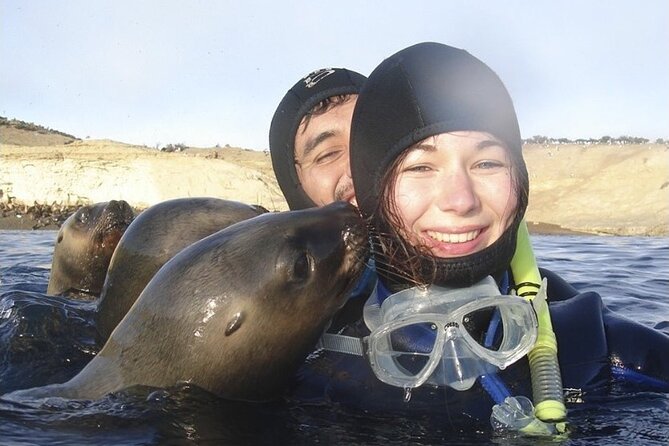 Snorkeling With Sea Lions and Wildlife Adventure - Good To Know