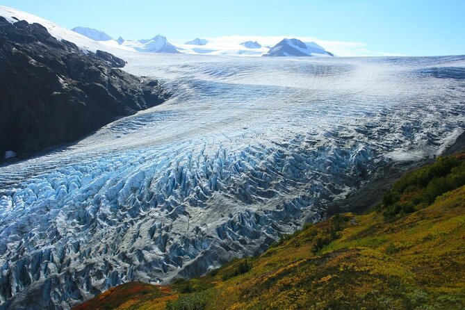 Snowmobile and Snowshoe Dual Adventure in Kenai Fjords NP - Good To Know