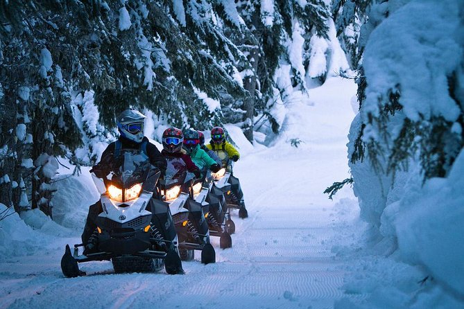 Snowmobile Tours in Whistler - Good To Know