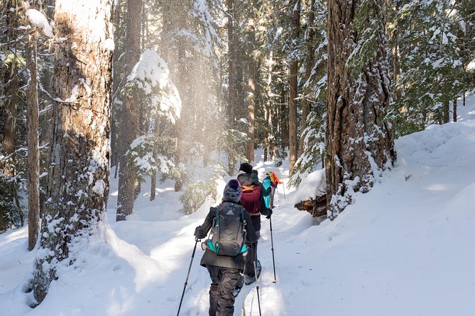 Snowshoe Tours - Good To Know