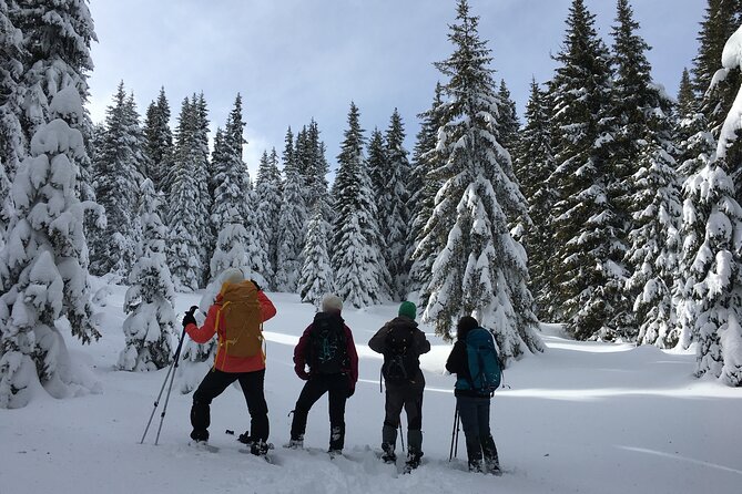 Snowshoeing Day Trip From Bansko to Rhodope Mountains - Good To Know