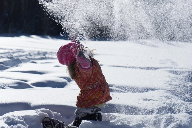 Snowshoeing in Kananaskis - Good To Know