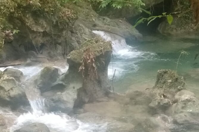 Somerset Fall and Bamboo Rafting Experience in Portland Jamaica - Tour Overview