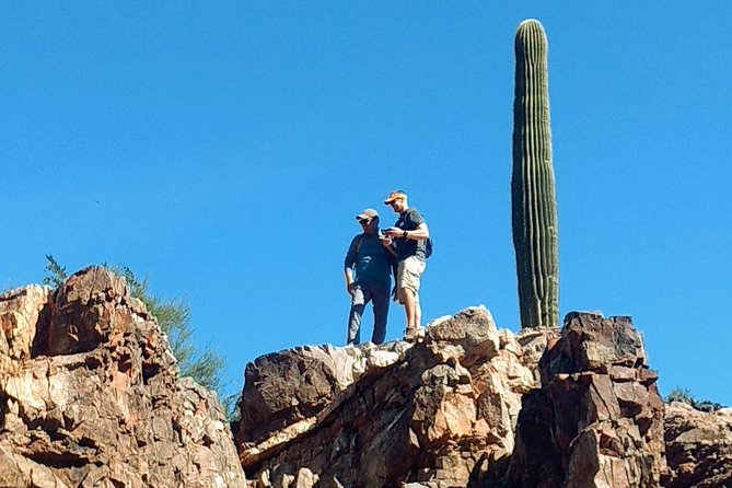 Sonoran Desert 1/2 Private Group Day Hike Casual to Challenging - Good To Know