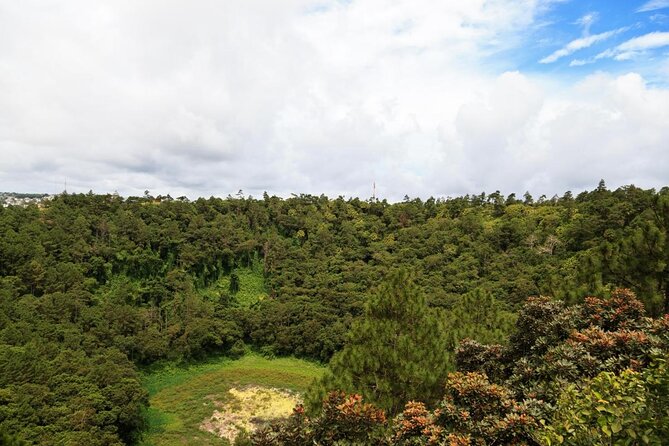 South of Mauritius : LYCHEE WINE Tasting & Tea Route With Lunch - Good To Know