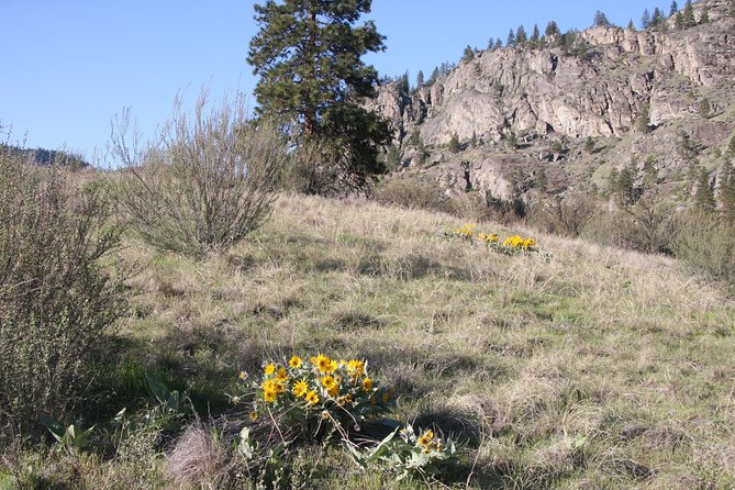 South Okanagan Desert Tour - Good To Know