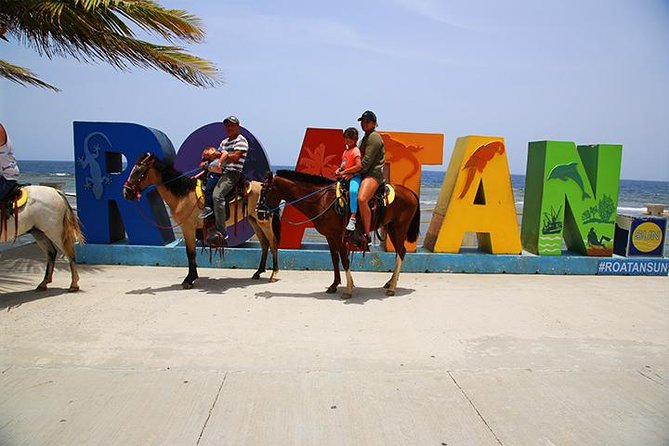 South Side Horseback Riding, Beach Break & Roundway Transfer - About Your Stay
