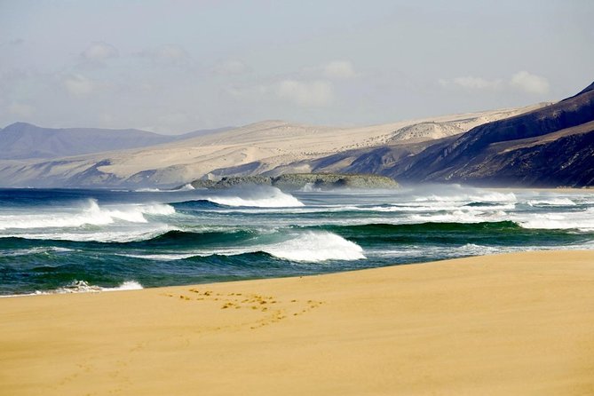 Spains Best Beaches Day Trip From Seville - Pricing and Availability
