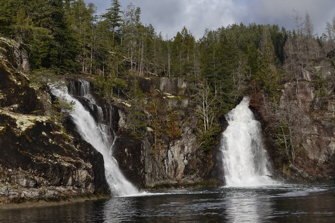 Spring Bear and Waterfall Tour - Good To Know