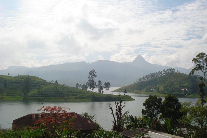 Sri Pada Mountain and Ella Train Journey From Kandy City - Good To Know