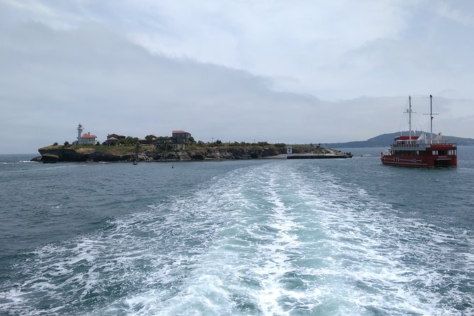St. Anastasia Island Cruise: Overnight or Same-Day Trip  - Burgas - Good To Know