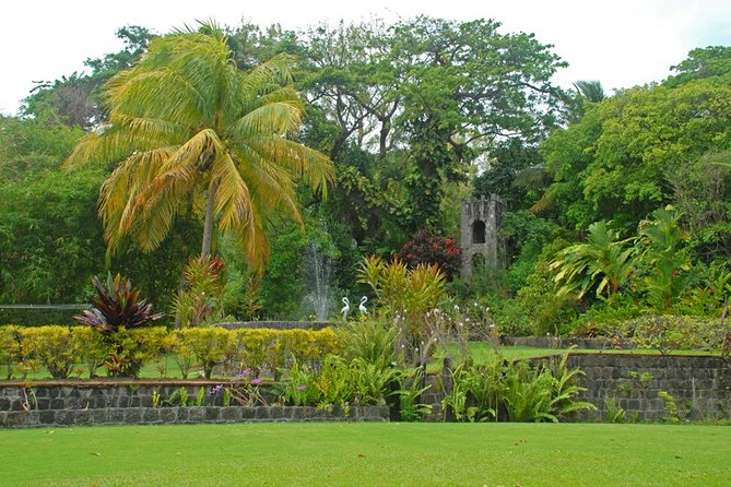 St Kitts Rainforest Tour