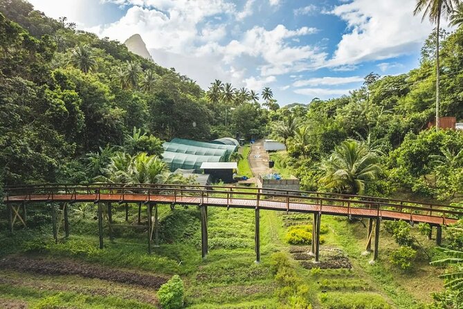 St Lucia Airport Transfer to Hotel Chocolat - Service Overview