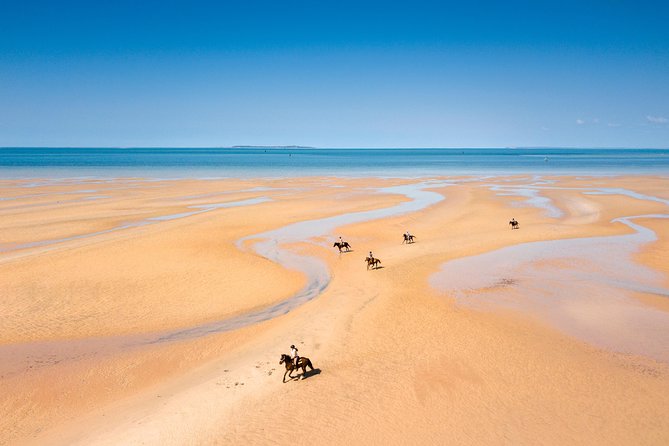 Standard Ride: Beach & Bush - Good To Know