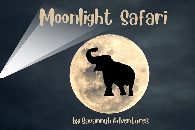 Stargazing and Moonlight Experience - Good To Know