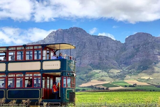 Stellenbosch & Franschhoek Wine Tasting Tour From Cape Town - Good To Know