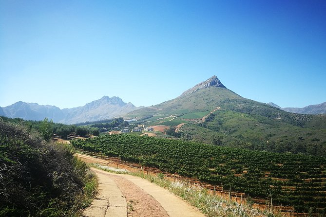 Stellenbosch Vineyard Walk & Wine Tasting - Inclusions and Pricing