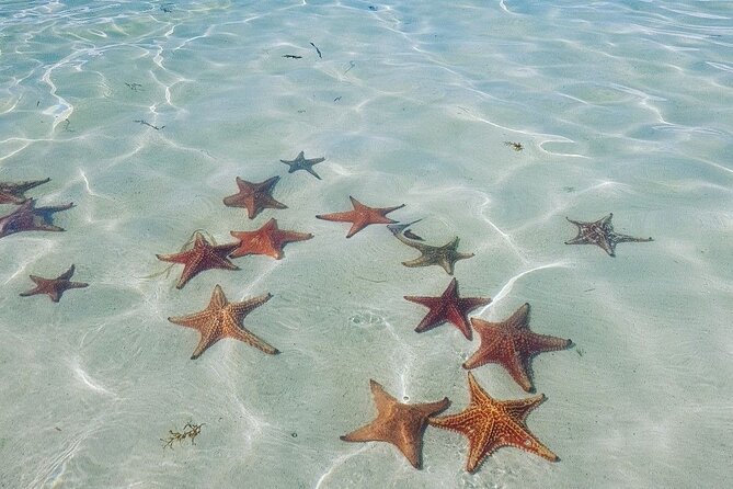 Stingray City Private Charters - Overview