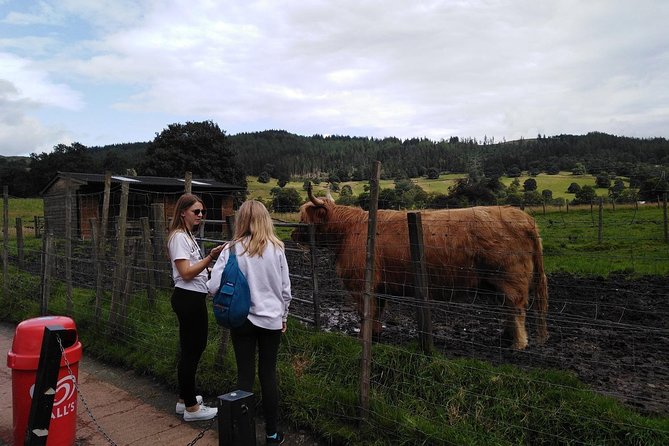 Stirling Castle, Hairy Coos & The Trossachs - Overview of Stirling Castle