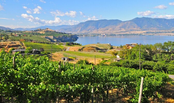 Summerland Wine Tour - Classic - 4 Wineries - Good To Know