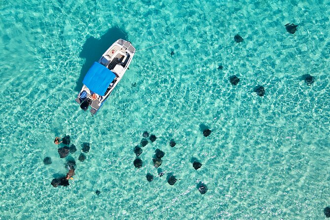 Sunrise at Stingray City, Private Tour - Good To Know