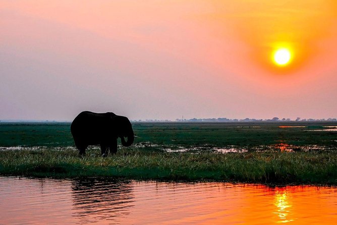 Sunset Cruise on the Zambezi River - Wildlife Sightings