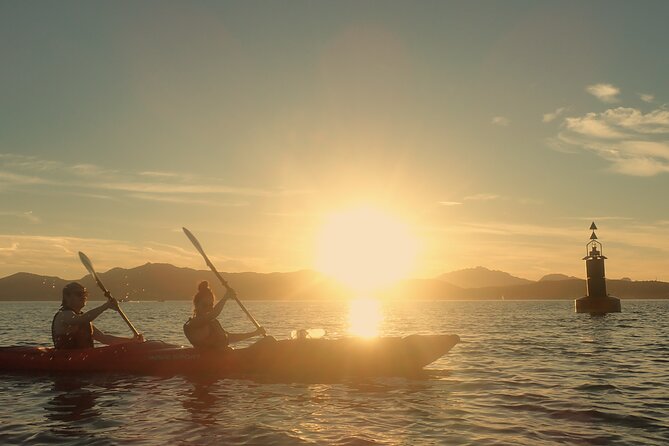 Sunset Dolphin Kayak Tour at Golfo Aranci - Tour Overview