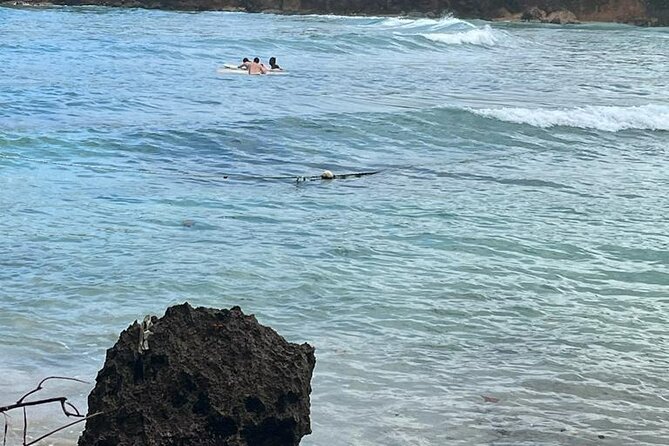 Surfing and Motorized Canoeing Private Tour in Jamaica - Tour Overview
