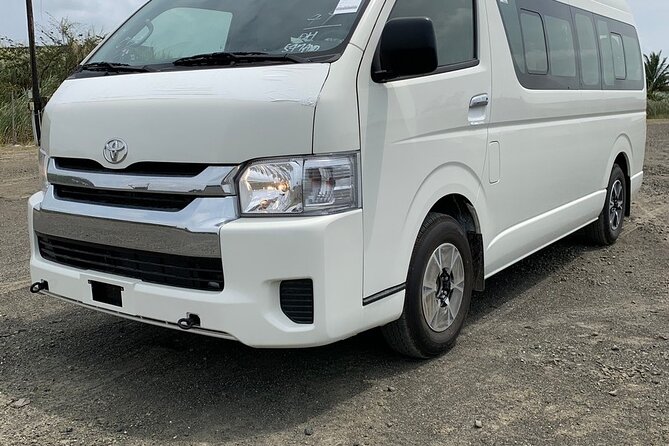 Suv Transfer From the Airport to Riu Hotels in Punta Cana - Service Overview